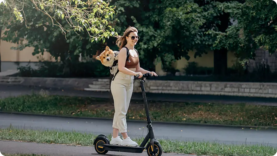 TRANSPORTE Y MOVILIDAD